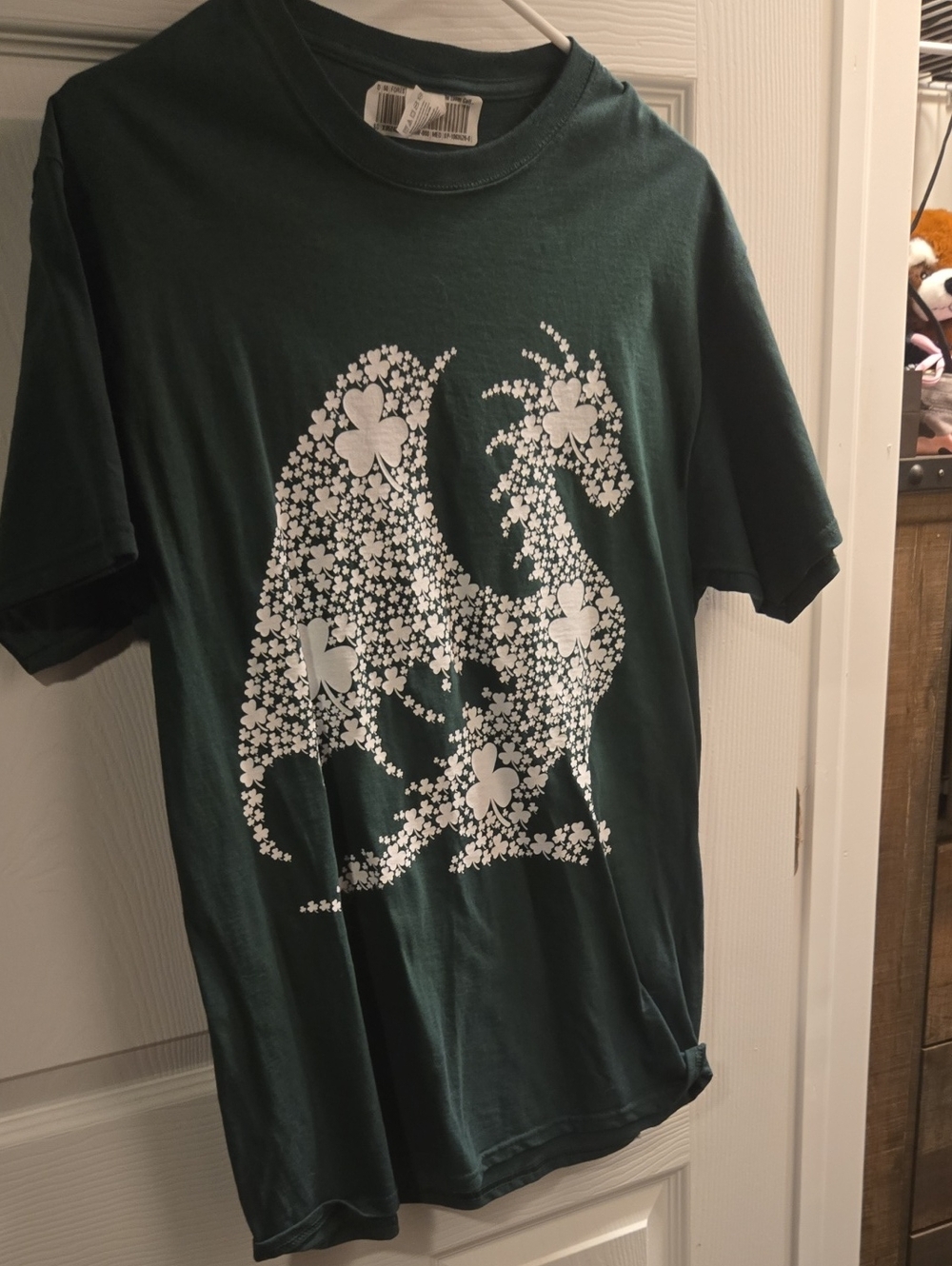Fruit of the Loom Dark Green Short Sleeve Tee with White Dragon Shamrock Print